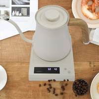 Vòi 700Ml Phong Cách Nhật Bản Thép Không Gỉ Ấm Siêu Tốc Điện Ấm Siêu Tốc Nước Nóng Trà Đổ Trên Cổ Ngỗng Ấm Siêu Tốc Nhỏ Giọt Cà Phê