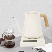 Thiết kế mới Bình giữ nhiệt cổ ngỗng Ấm siêu tốc Thiết bị gia dụng Thép không gỉ cổ ngỗng Ấm đun nước điện Rót trà cà phê